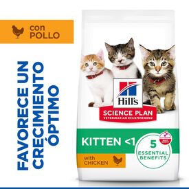 Hill's Science Plan Alimento Pienso Pollo  para Gatitos
