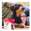 Beaphar FiproTec Pipetas para perros de razas pequeñas, , large indicador imagen numero 8