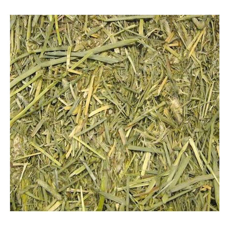 Beaphar Care+  Heno Timothy para roedores,  Imagen numero 2 Beaphar Care+  Heno Timothy para roedores, , large Imagen numero 2