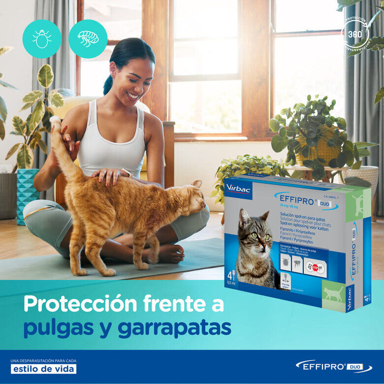 Virbac Effipro Duo Pipetas Antiparasitarias para gatos thumbnail