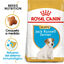 Royal Canin Puppy Jack Russell Terrier pienso para perros, , large indicador imagen numero 2