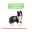 12 kg Royal Canin Digestive Care Medium pienso para perros, , large indicador imagen numero 5