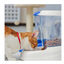 Ferplast Zenith Dispensador de Pienso para mascotas, , large indicador imagen numero 4