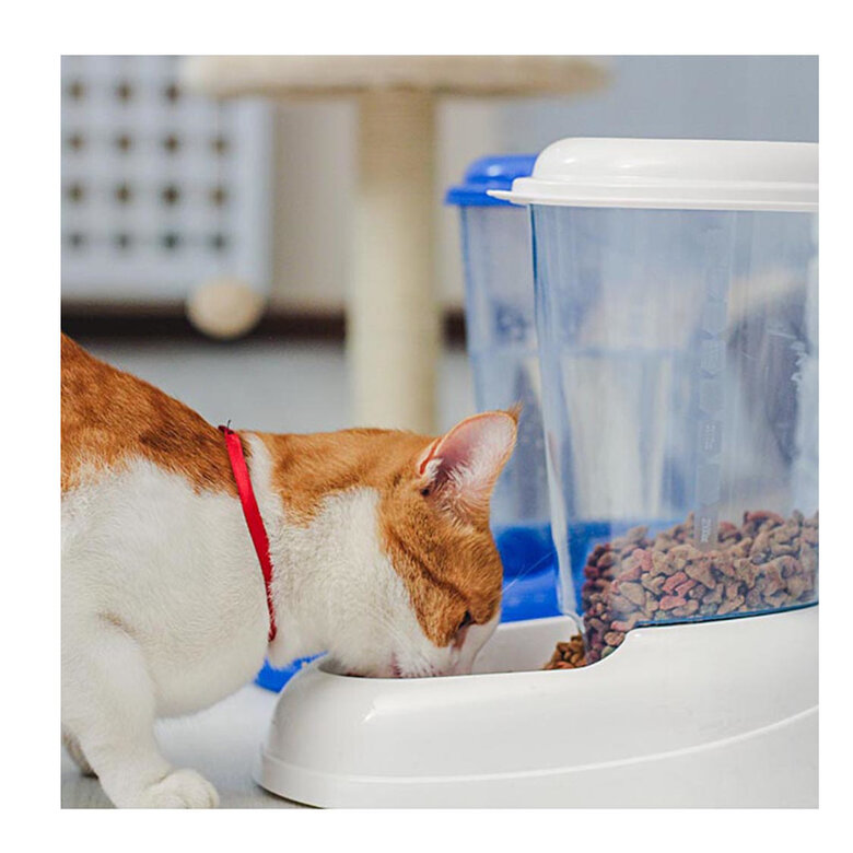 Ferplast Zenith Dispensador de Pienso para mascotas,  Imagen numero 4 Ferplast Zenith Dispensador de Pienso para mascotas, , large Imagen numero 4