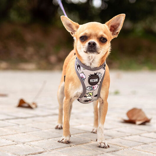 Disney Premium Villanas arnés para perros, , large image number null