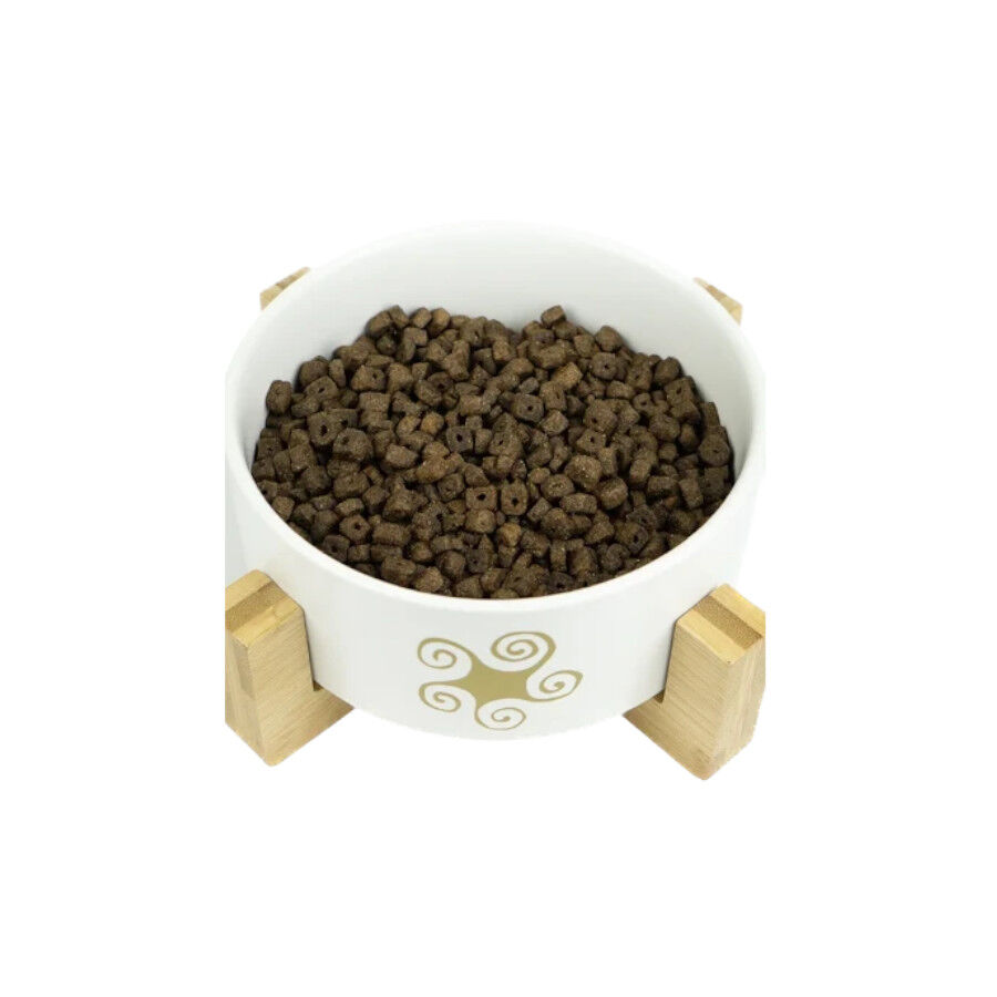 2 kg Lenda Adult Mini Atlantic Blue Fish pienso para perros, , large Imagen numero 3