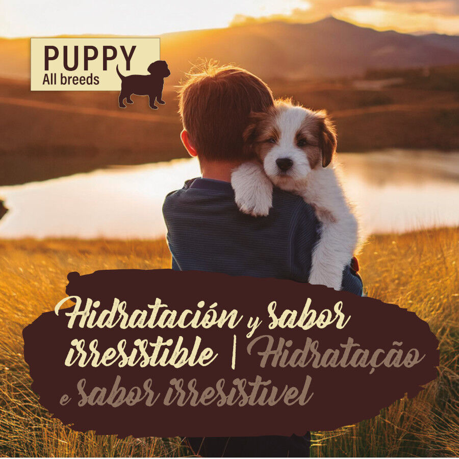 True Origins Pure con Salmón lata para cachorros thumbnail