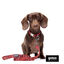 Gotoo Correa estampada cachemira rojo para perro, , large indicador imagen numero 5