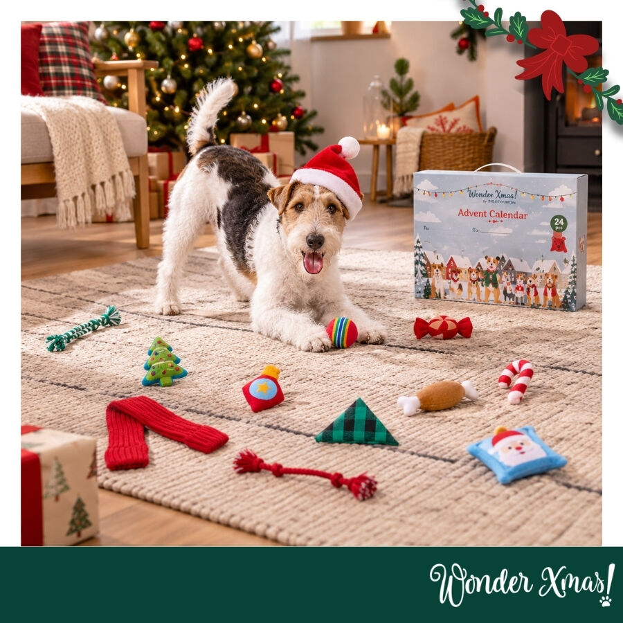 Wonder Christmas Calendario Adviento Juguete para perros, , large Imagen numero 2