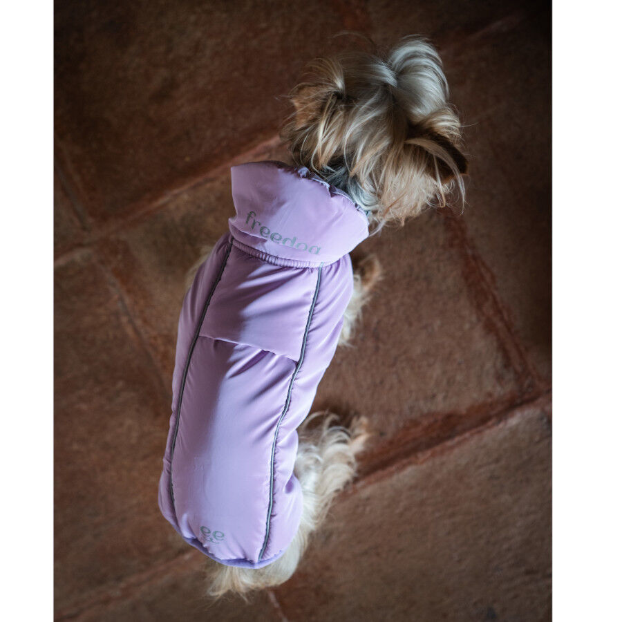Freedog Abrigo Impermeable Winterhug Morado para perrros thumbnail