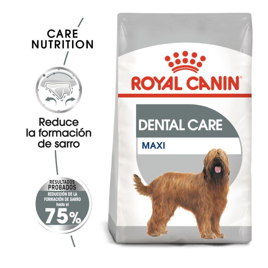 9 kg Royal Canin Dental Care Maxi pienso para perros, , large Imagen numero 2