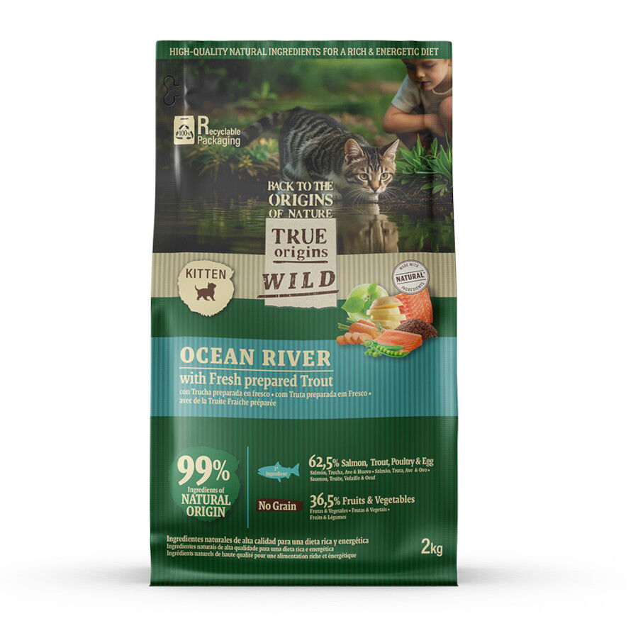True Origins Wild Ocean River Salmón y Trucha pienso para gatitos thumbnail
