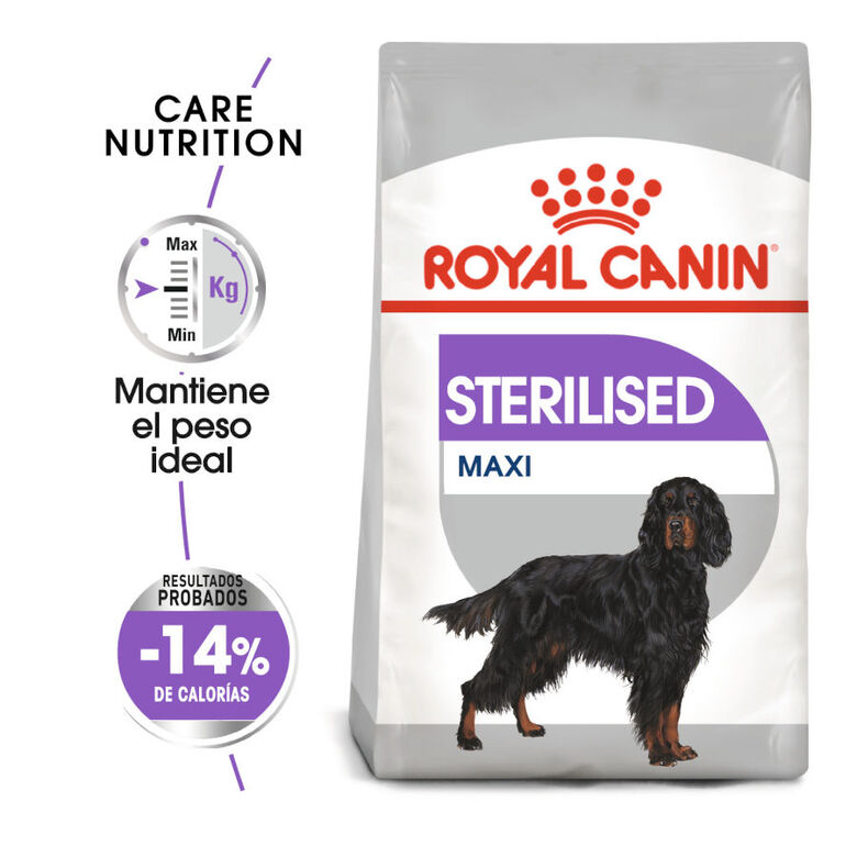 Royal Canin Sterilised Maxi pienso para perros thumbnail