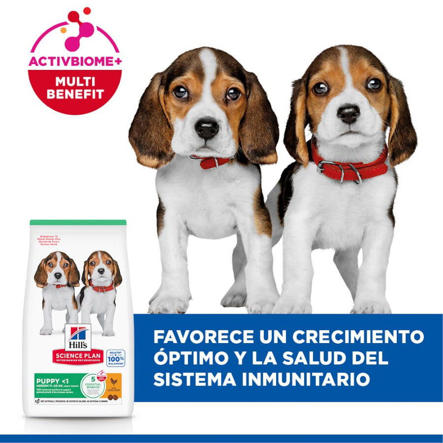 18 kg Hill's Science Plan Puppy Medium pollo pienso para perro, , large Imagen numero 4
