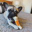 Nylabone Hueso Mordedor Dental Sabor a Bacon para perros, , large indicador imagen numero 2