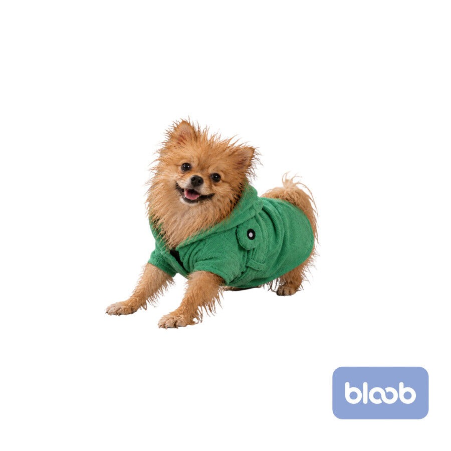 Bloob Albornoz Rana para perros, , large Imagen numero 1