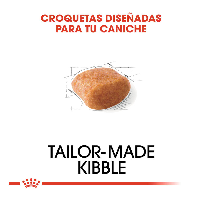 Royal Canin Adult Poodle pienso para perros thumbnail
