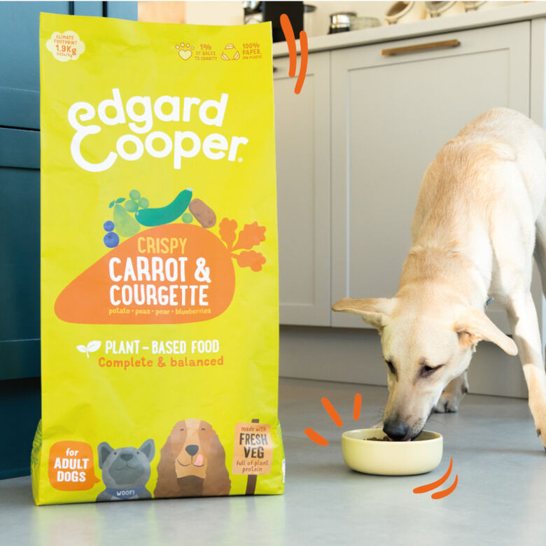 Edgard &amp; Cooper Zanahoria y Calabacín pienso para perros thumbnail