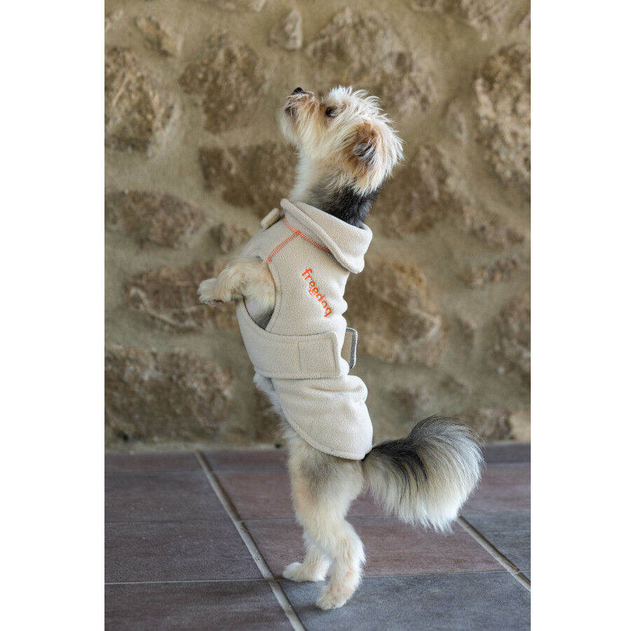 Freedog Polar Snowpuff Beige para perros thumbnail