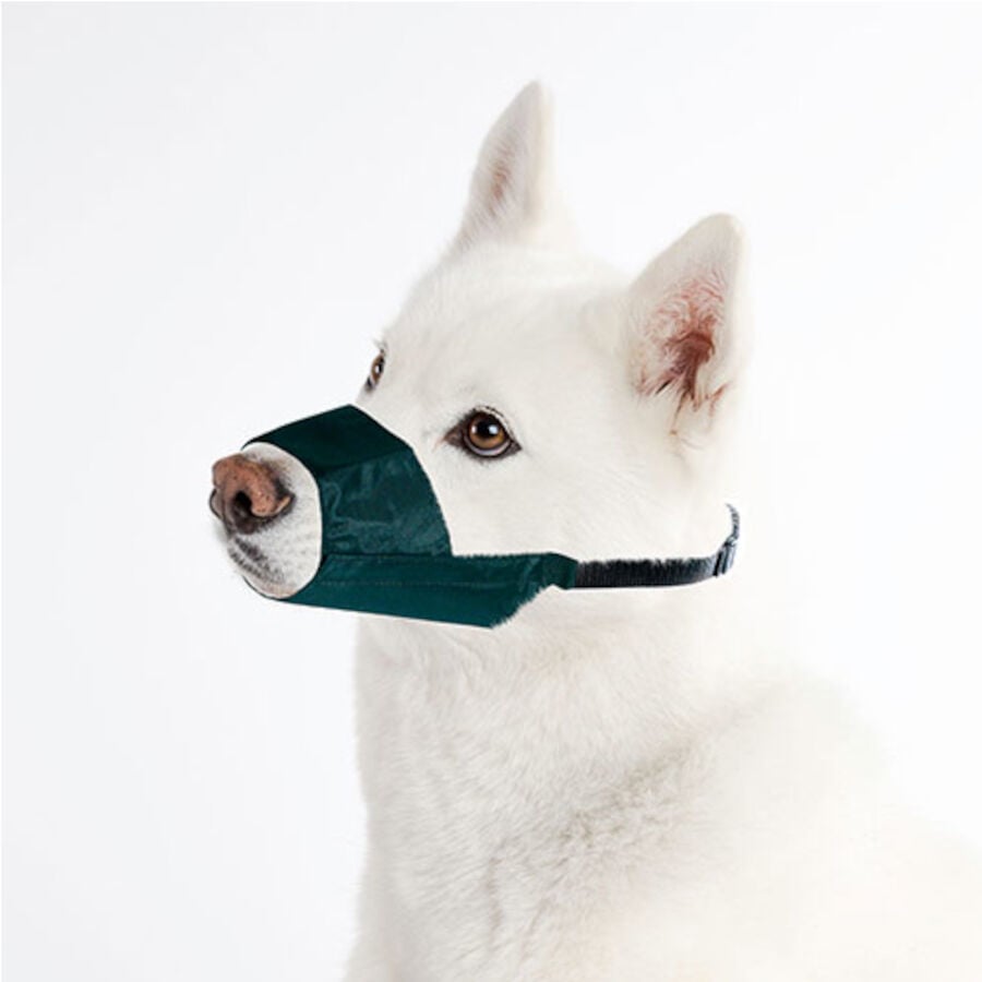 TK-Pet Exclusive Bozal para perros, , large Imagen numero 1