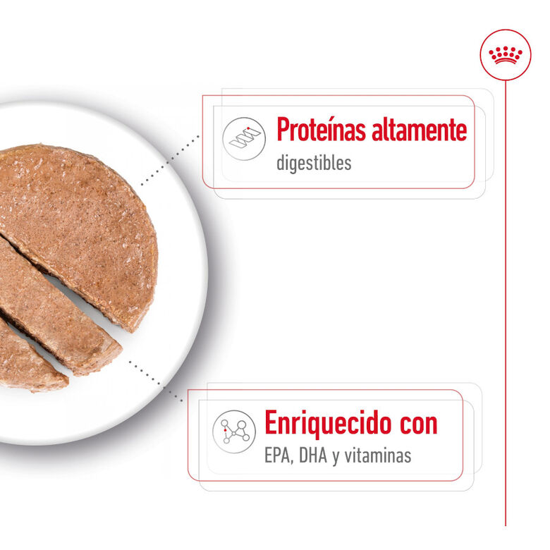 Royal Canin Maxi Ageing 5+ Paté lata para perros thumbnail