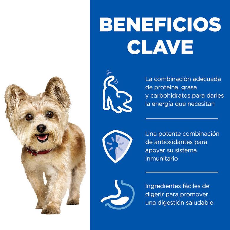 200 g Hill's Science Plan Mature Small & Mini Mousse de Pollo lata para perros,  Imagen numero 4 200 g Hill's Science Plan Mature Small & Mini Mousse de Pollo lata para perros, , large Imagen numero 4