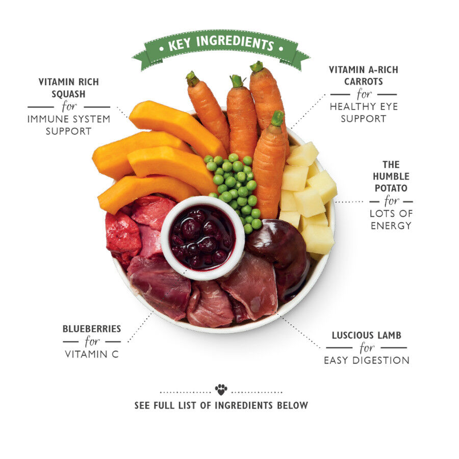 Lily&#039;s Kitchen cordero lata para perros thumbnail