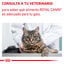 12 sobres x 85 g Royal Canin Mature Consult Balance Paté sobre para gatos, , large indicador imagen numero 8