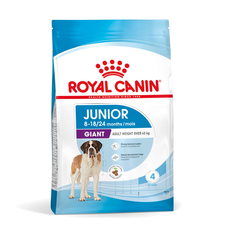 Royal Canin Junior Giant pienso para perros