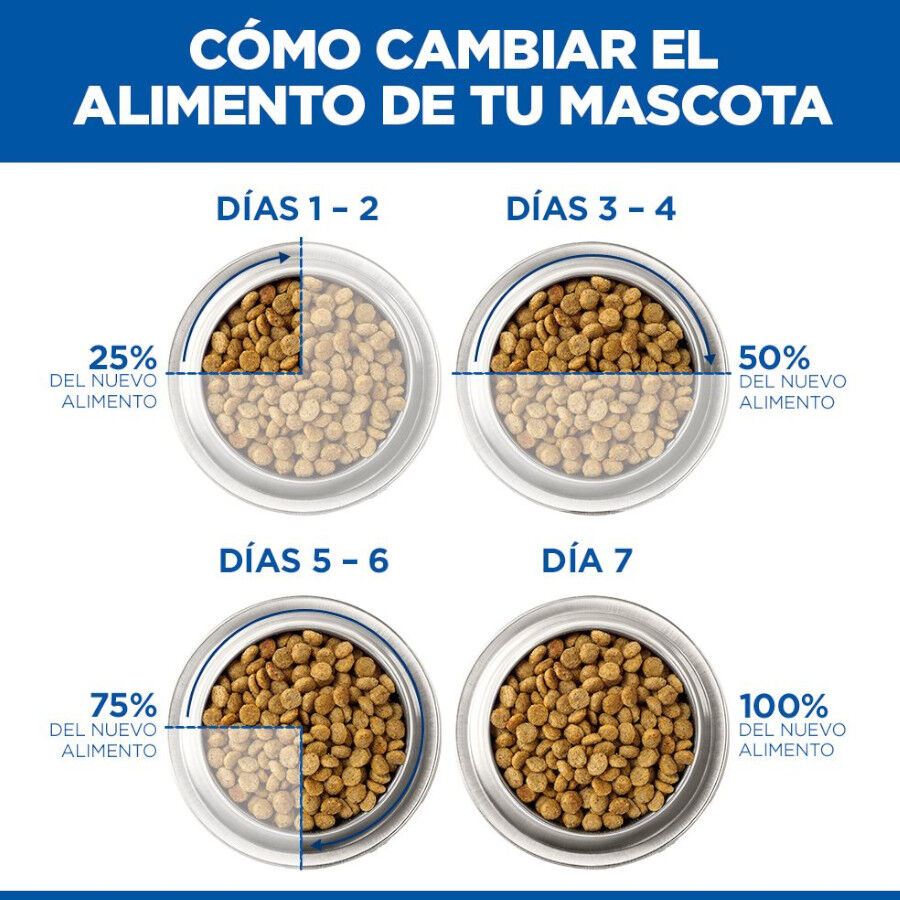363 g Hill's Science Plan Mature Estofado con pollo y verduras lata para perros, , large Imagen numero 8