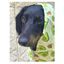 Dukier Avocado Chubasquero para perros, , large indicador imagen numero 3