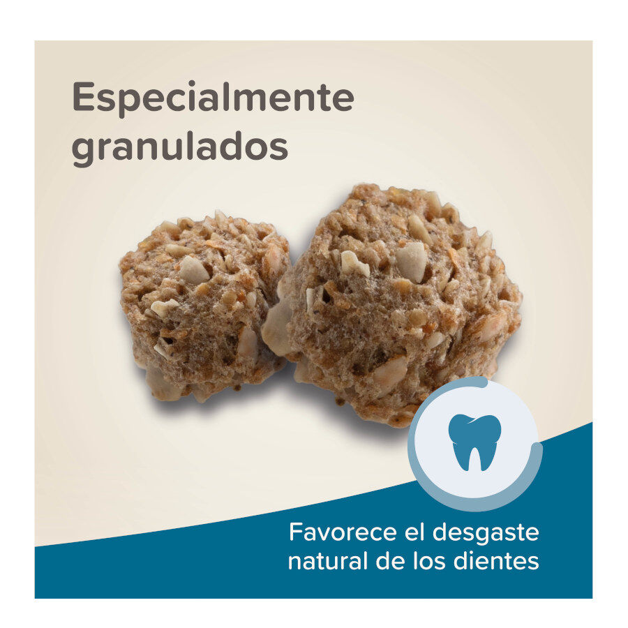 Beaphar Care + Junior Pienso para conejo junior, , large Imagen numero 6