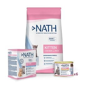 Pack Nath Kitten - Comida + Leche Maternizada para gatitos