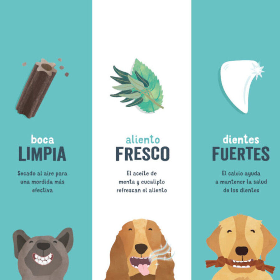 Edgard &amp; Cooper Barritas Dentales Manzana y eucalipto snack para perros grandes thumbnail