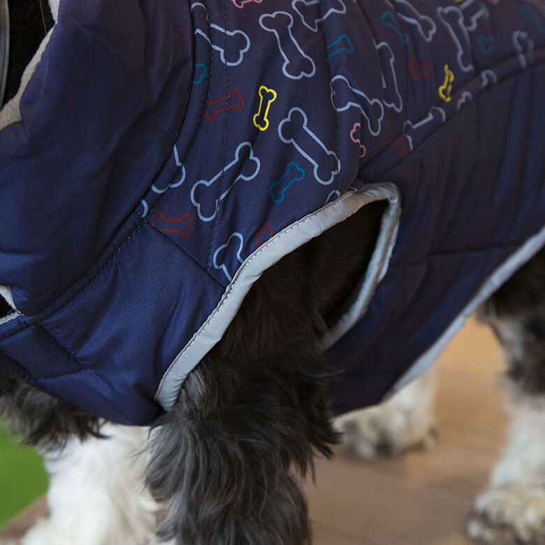 Outech Abrigo Azul con Estampado de Huesos para perros thumbnail