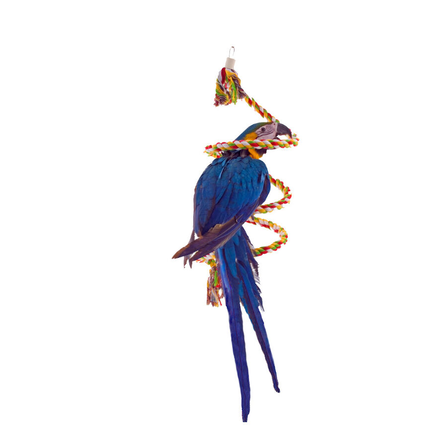 Sun Parrots Espiral de Algod&oacute;n Juguete Colgante para p&aacute;jaros, , large Imagen numero 1