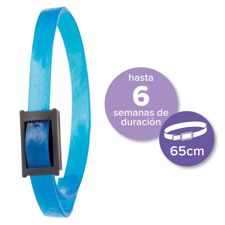 collar_perros_Beaphar_Calming_relajante_BEA11091_M_AG23_2 Imagen numero 2 Beaphar Calming Collar Relajante para perros2 Imagen numero 2