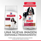 Hill's Adult cordero y arroz image number null