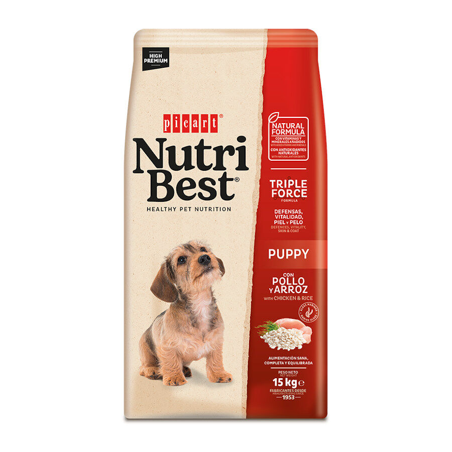 15 kg Nutribest Puppy Pollo y Arroz pienso para perros, , large Imagen numero 1