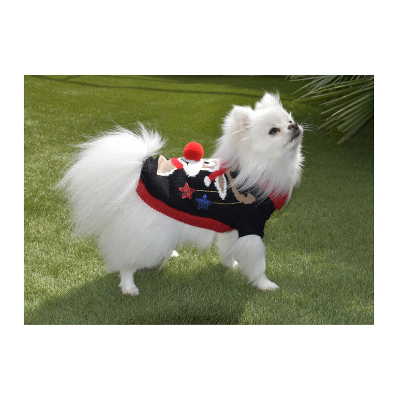 Nayeco Jersey Navideño de Punto para perros,  Imagen numero 2 Nayeco Jersey Navideño de Punto para perros, , large Imagen numero 2