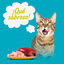 Start Multipack de Carne en Salsa para Gatos, , large indicador imagen numero 4