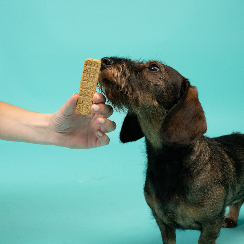 Edgard &amp; Cooper Tiras de Cordero y Pavo snack para perros thumbnail