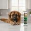 1 ud. True Origins Wild Dental Care Chewing Sticks Snack para perros, , large indicador imagen numero 1