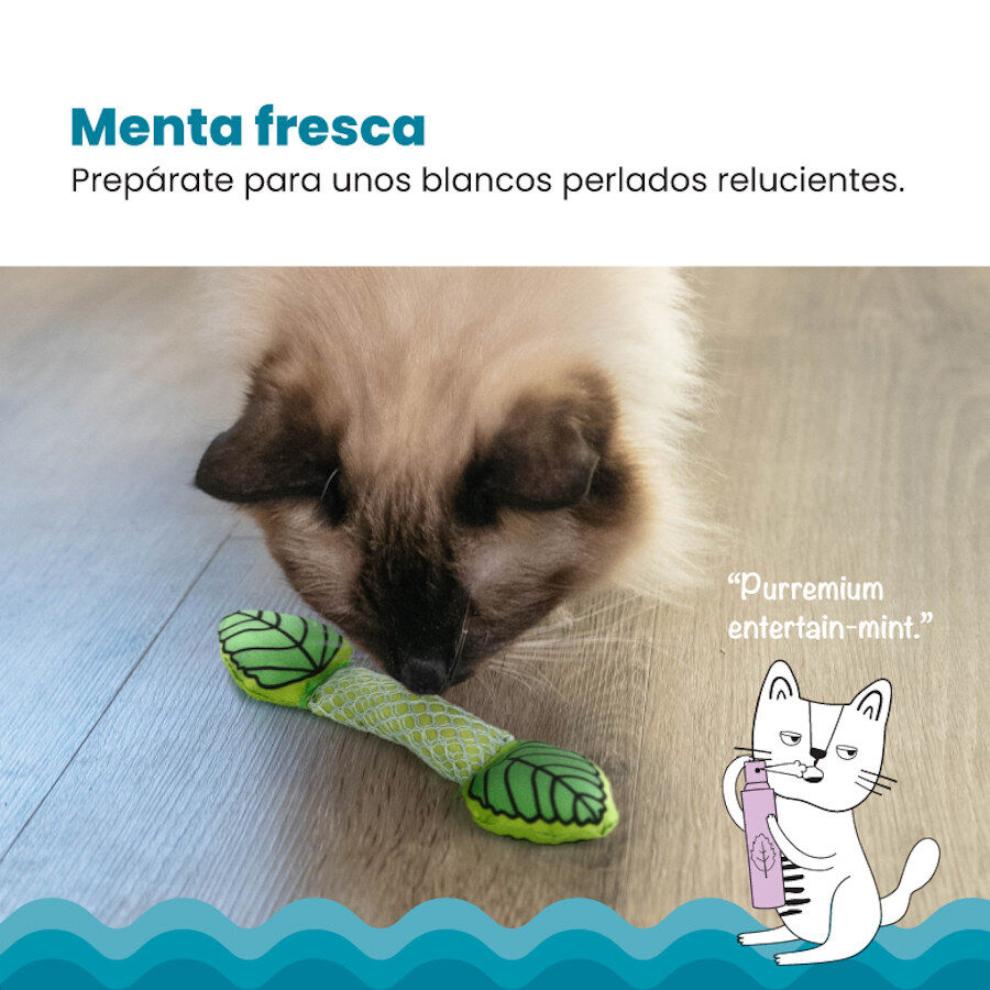 Catstages Fresh Breath Stick Peluche Dental con Menta para gatos, , large Imagen numero 2