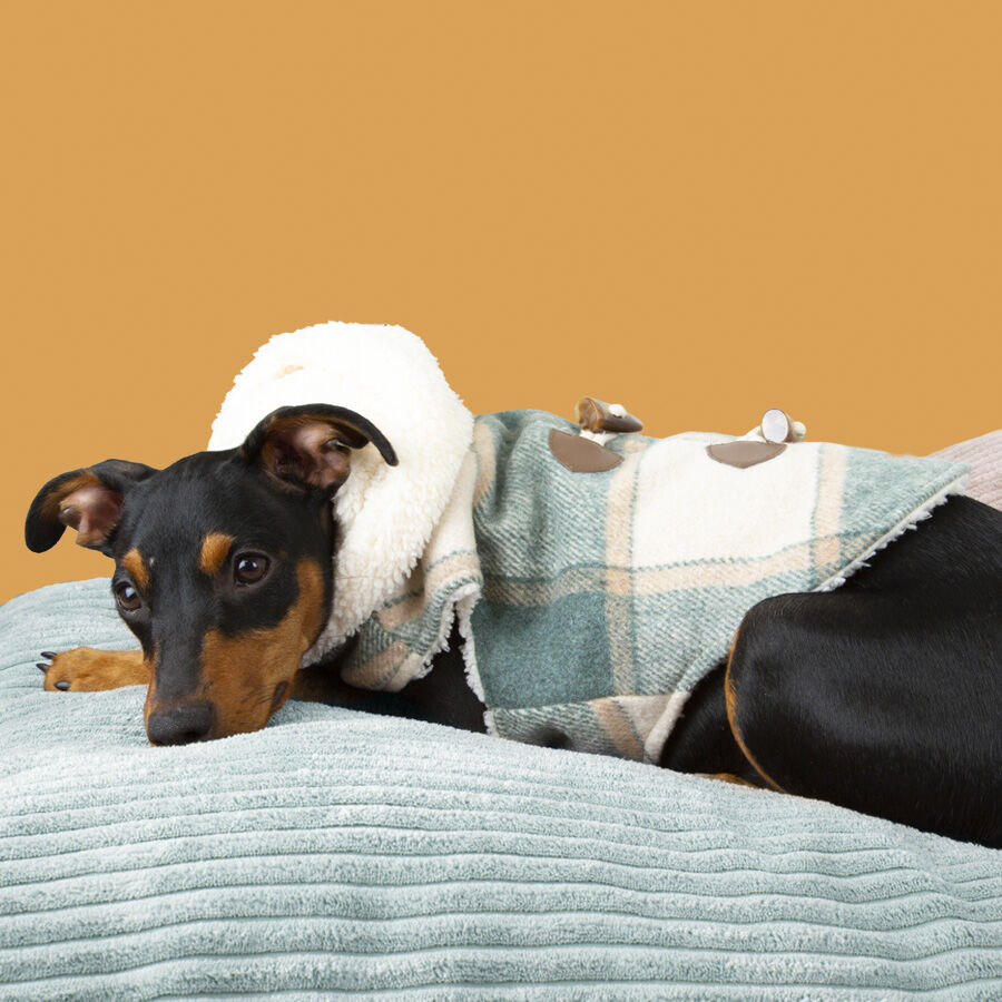 Outech Trenca Azul para perros thumbnail