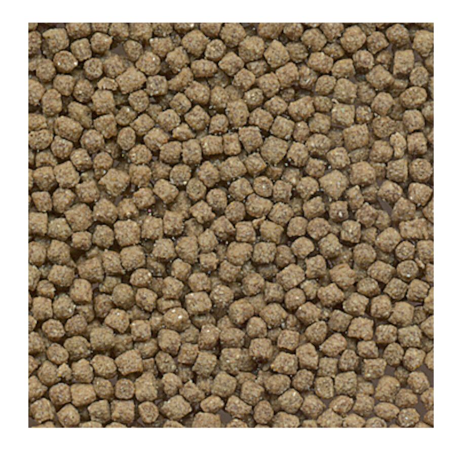 Flamingo Pet Plus Comida para tortugas de agua thumbnail