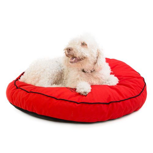 Cama viscoelástica perro kiwoko new arrivals