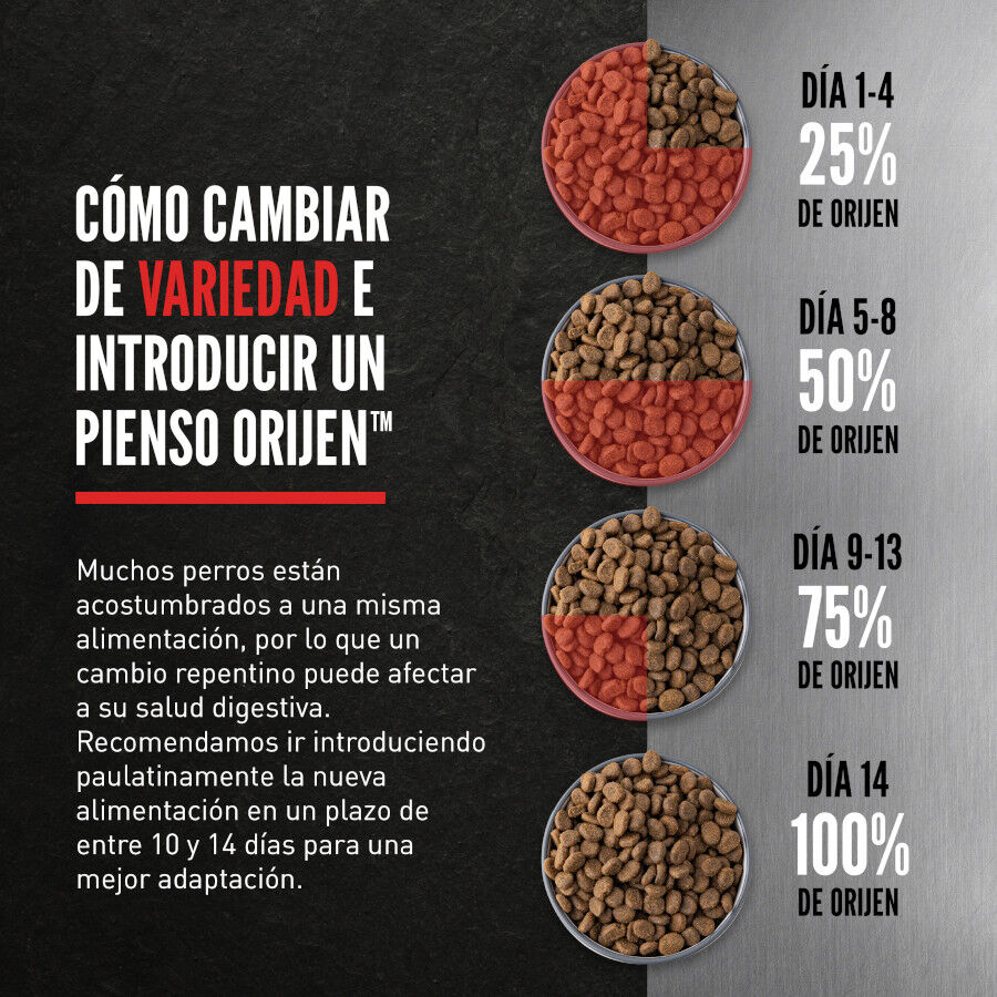 Orijen Tundra Pienso Seco Cordero y Ciervo para perros thumbnail