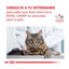 6 kg Royal Canin Veterinary Early Renal pienso para gatos, , large indicador imagen numero 9