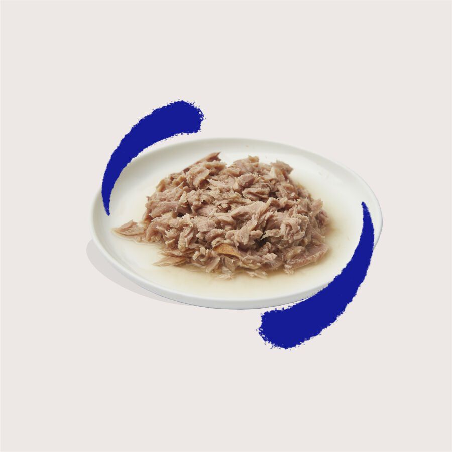 70 g Edgard & Cooper Filetes de At&uacute;n lata para gatos, , large Imagen numero 2